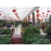 蔬菜溫室大棚，蔬菜溫室大棚專用陽(yáng)光板