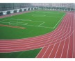 南京杭州樂清幼兒園塑膠操場塑膠籃球場供應(yīng)商家