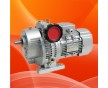 MBW07Y-0.75KW-C5行星摩擦式無(wú)級(jí)變速機(jī)