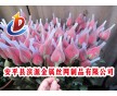 PE新料 現貨玫瑰花網套、毛刷網套